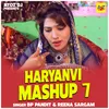 About Haryanvi Mashup 7 (Hindi) Song