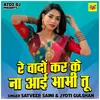 Re Vadon Kar Ke Na Aai Bhabhi Tu (Hindi)