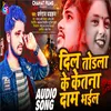 About Dil Todhla Ke Ketna Dam Bhail (BHOJPURI) Song