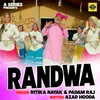 About Randwa (Hindi) Song