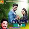 About Mor Maya La (Chhattisgrhi) Song