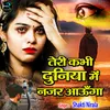 Teri Kabhi Duniya Me Najar Aaunga (Hindi)