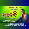About Kaidebi Dhemssa Tv Song
