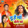 Tu Hai Maa Meri Maa (Devi Geet)