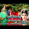 About Choti Moti Tulsi Ke Gachhiya Song Song