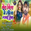 About Tora Jila Me Lila Laga Debau (Bhojpuri song) Song