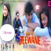 About Hum To Deewane Hue Pagal (Nagpuri) Song
