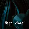 About Nupe Vibes Song