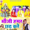 About Bhauji Hamar Chhath Kare Song