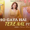 About Ho Gya Hai Tere Nal Pyar (Hindi) Song