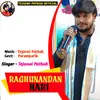 About Raghunandan Hari Song