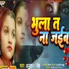 About Bhula Ta Na Jaibu (Bhojpuri) Song
