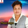 About Phool Maya Song