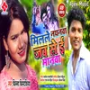 About Milale Nayanwa Jab Se Manwa Song