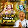 About Chham Chham Nache Dekho Veer Hanumana (Hanuman Bhajan) Song