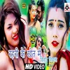 About Rahari Ke Khet Me (Bhojpuri) Song