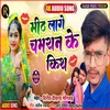 About Meeth Laage Chamraan Ke Kiss Song