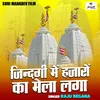 About Zindgi Me Hazaron Ka Mela Laga (Hindi) Song