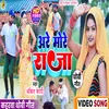 About Are More Raja Sate Na Dehab (Dhobi geet) Song