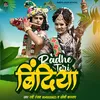 About Radhe Teri Bindiya (Bhojpuri) Song