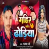 About Gahir Gahir Dhidiya Song