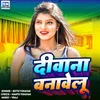 About Deevana Banavelu (Bhojpuri) Song