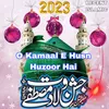 O Kamaal E Husn Huzoor Hai