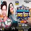 About Jawaniya Hawda Brij Ge Song