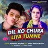 Dil Ko Chura Liya Tumne (Hindi)