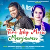 About Tere Ishq Mein Marjawan (HIndi) Song