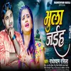 About Bhula Jaiha (Bhojpuri Sad) Song