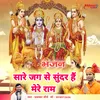 About Sare Jag Se Sundar Hai Mere Ram (HINDI) Song