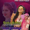 About Sona Babu Wali Jindagi Song