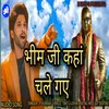 Bheem Ji Kahan Chale Gaye (Hindi)