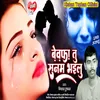 About Bewafa Tu Sanam Bhailu Song