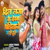 About Dil Laga Ke Dekha Panditane Se (Bhojpuri) Song