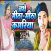 About Bathe Mitha Mitha Kamariya (Bhojpuri) Song