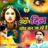 Nadan Dil Chhod Kar Ja Rahe Hai (Hindi)