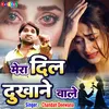 About Mera Dil Dukhane Wale (Hindi) Song