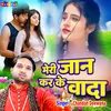 About Meri Jaan Kar Ke Vada (Hindi) Song