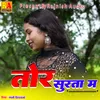About Tor Surta Ma (Chhattisgrhi) Song