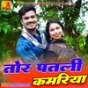About Tor Patali Kamriya (Chhattisgrhi) Song