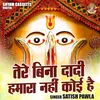 Tere Bina Dadi Hamara Nahin Koi Hai (Hindi)