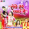 About Radhe Tere Pyar Mein (Hindi) Song