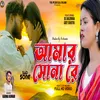 About Amar Sona Re Song