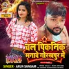 About Chala Picknic Manawe Gorakhpur Me (Bhojpuri) Song