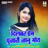 About Dilbar Prem Pujari Janu Moy (Hindi) Song