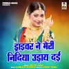 About Driver Ne Meri Nidiya Uday Dai (Hindi) Song