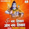 About Om Namah Shivay Om Namah Shivay (Hindi) Song