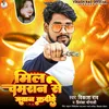 About Mil Chamaran Se Jawan Kar Dihe (Bhojpuri) Song